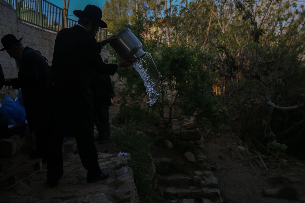 'מים שלנו': הבריסקער'ס ירדו למעיין • תיעוד