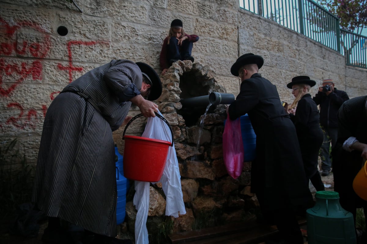 'מים שלנו': הבריסקער'ס ירדו למעיין • תיעוד