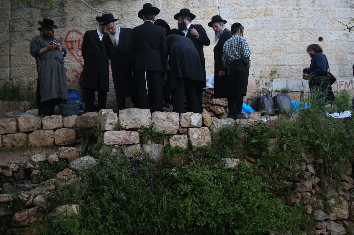 'מים שלנו': הבריסקער'ס ירדו למעיין • תיעוד