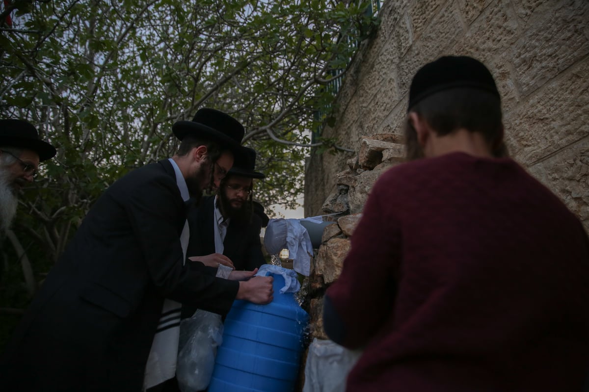 'מים שלנו': הבריסקער'ס ירדו למעיין • תיעוד