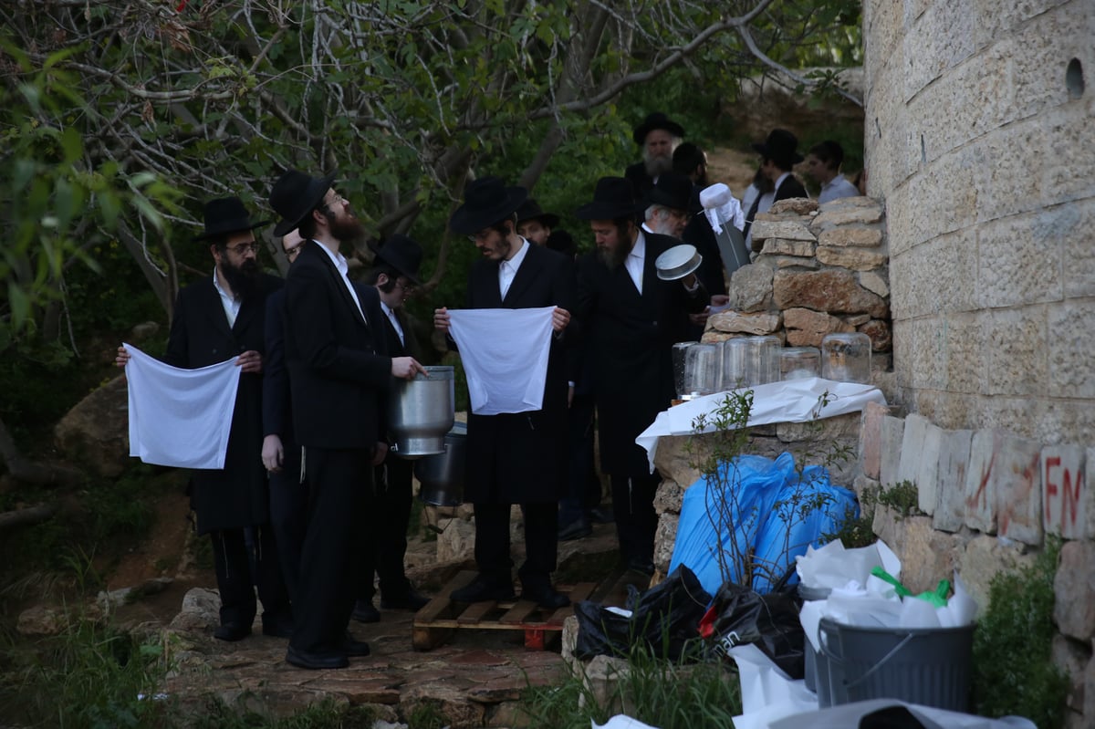 'מים שלנו': הבריסקער'ס ירדו למעיין • תיעוד