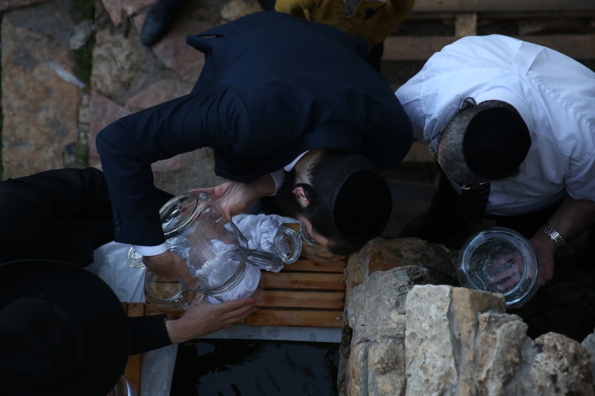 'מים שלנו': הבריסקער'ס ירדו למעיין • תיעוד