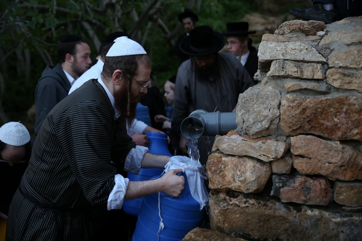 'מים שלנו': הבריסקער'ס ירדו למעיין • תיעוד