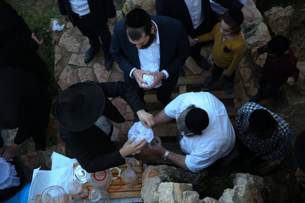 'מים שלנו': הבריסקער'ס ירדו למעיין • תיעוד