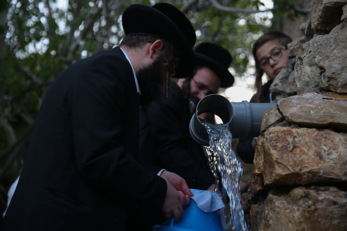 'מים שלנו': הבריסקער'ס ירדו למעיין • תיעוד