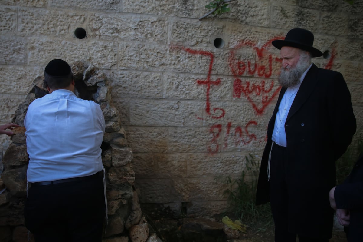 'מים שלנו': הבריסקער'ס ירדו למעיין • תיעוד