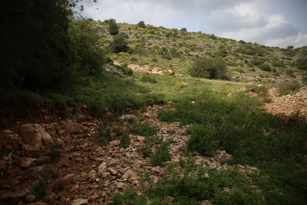 טיול דרך עדשת המצלמה לנחל חילזון