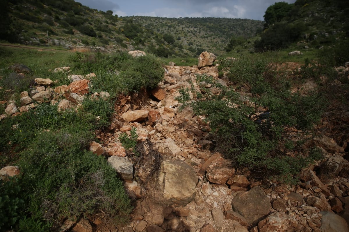 טיול דרך עדשת המצלמה לנחל חילזון