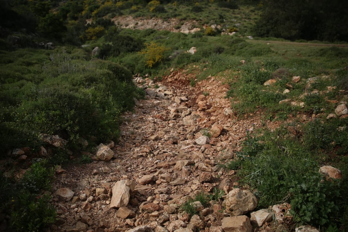 טיול דרך עדשת המצלמה לנחל חילזון