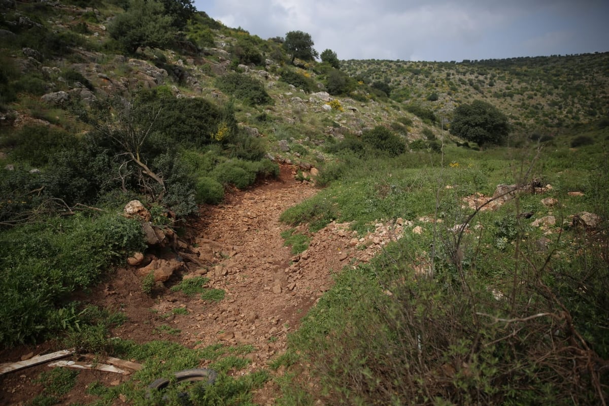 טיול דרך עדשת המצלמה לנחל חילזון