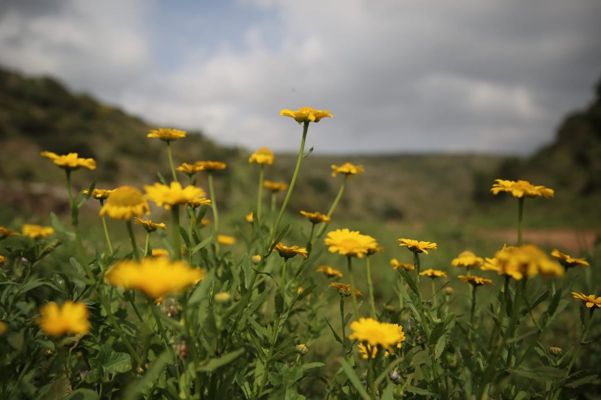 טיול דרך עדשת המצלמה לנחל חילזון