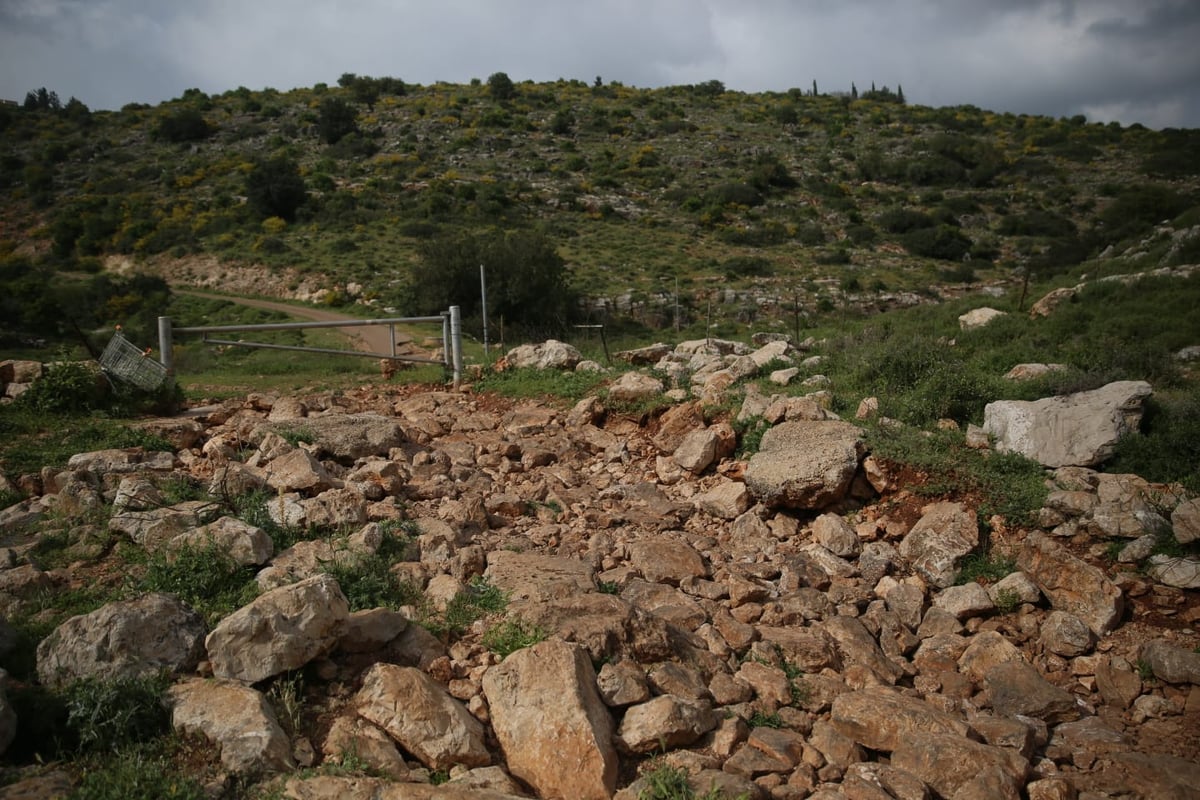 טיול דרך עדשת המצלמה לנחל חילזון