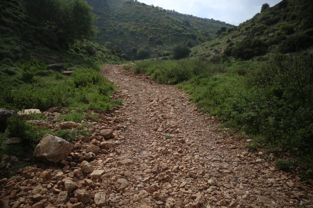 טיול דרך עדשת המצלמה לנחל חילזון