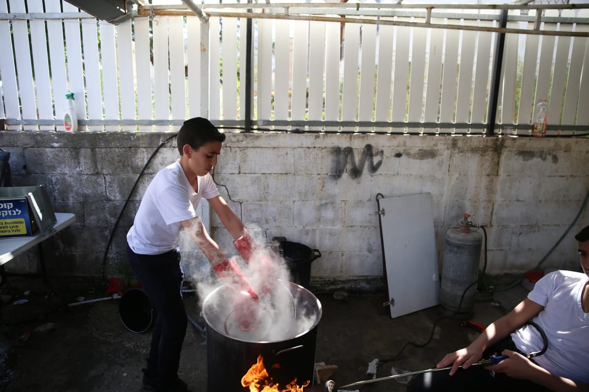 ערב פסח: כך מגעילים כלים בטבריה • צפו