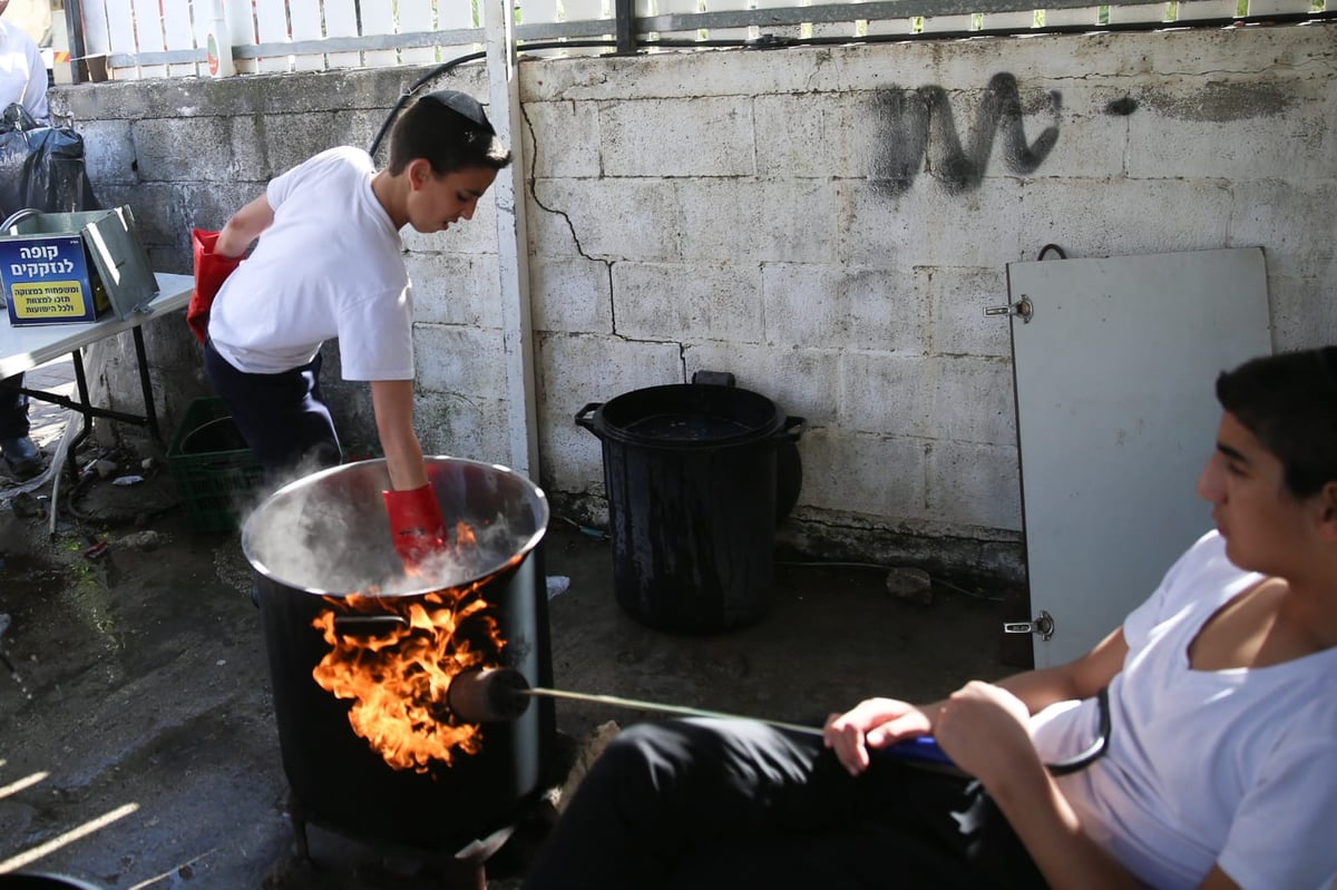 ערב פסח: כך מגעילים כלים בטבריה • צפו