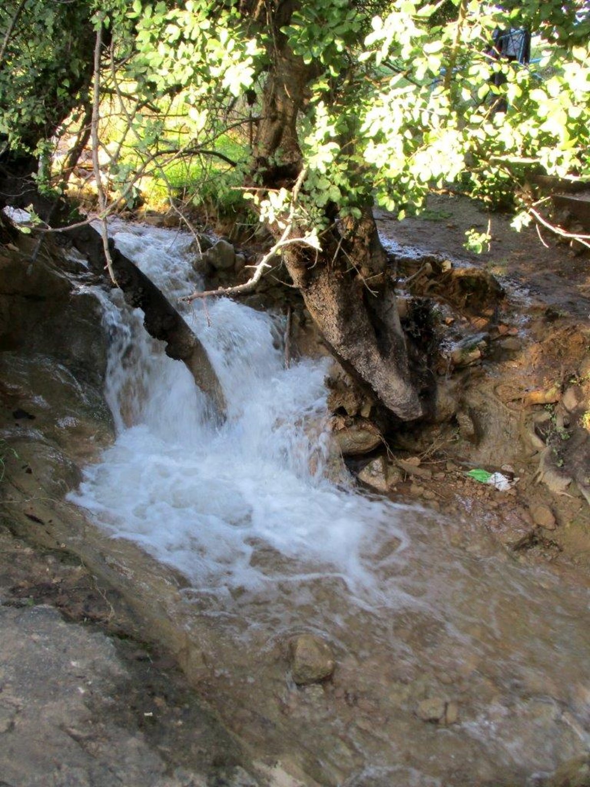 הצפון המרהיב וכמה מנחליו בגלריה מרהיבה