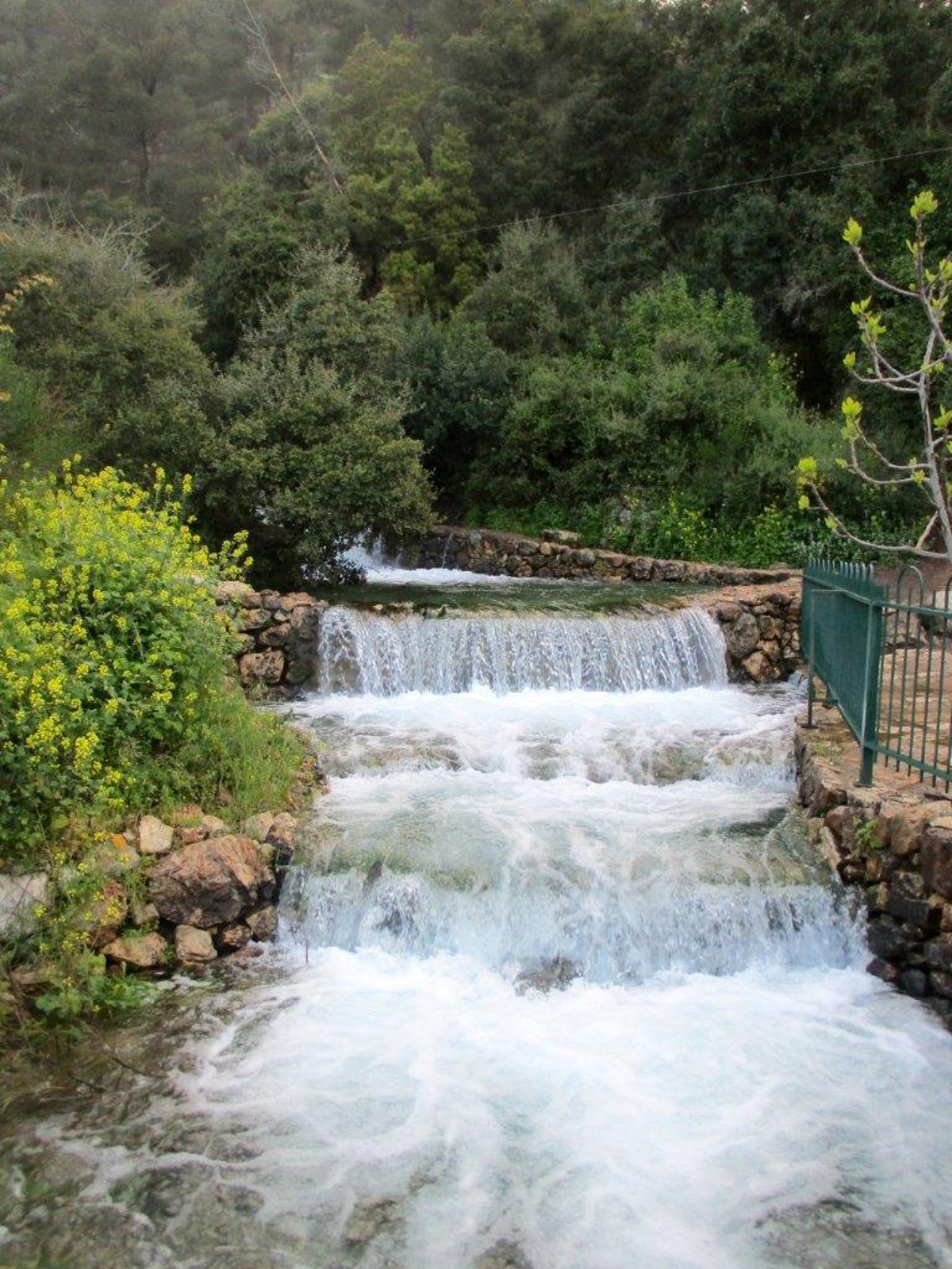 הצפון המרהיב וכמה מנחליו בגלריה מרהיבה