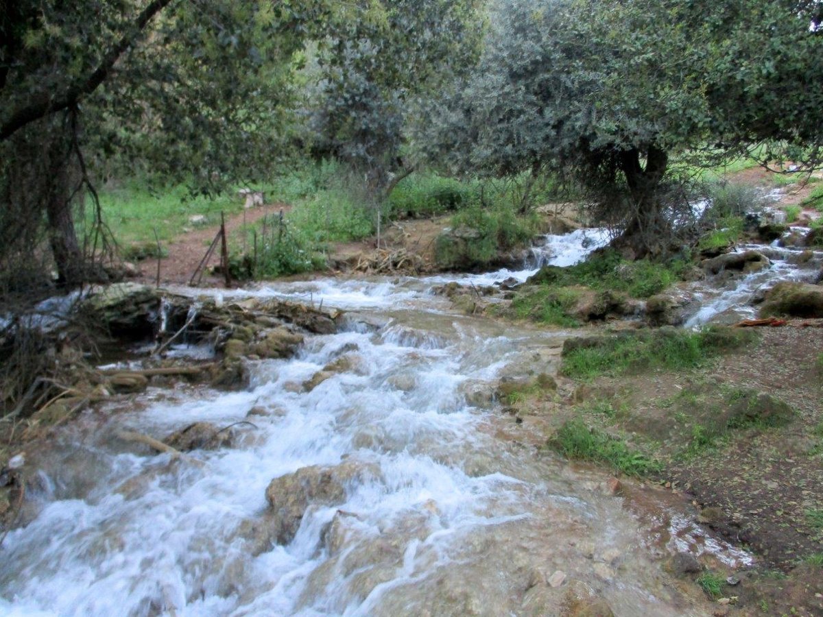 הצפון המרהיב וכמה מנחליו בגלריה מרהיבה