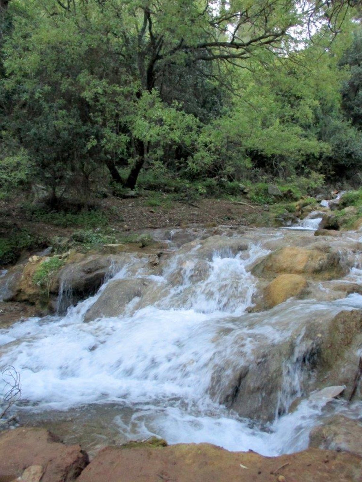 הצפון המרהיב וכמה מנחליו בגלריה מרהיבה