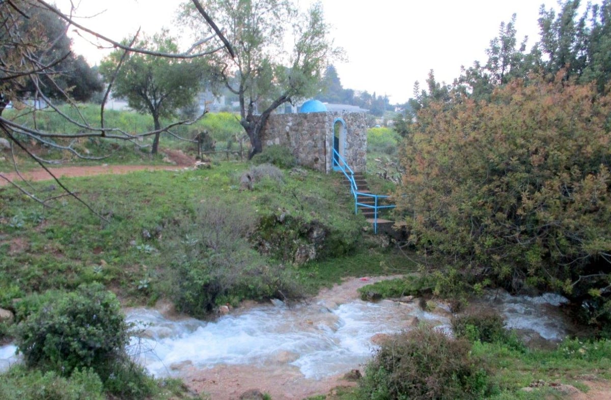 הצפון המרהיב וכמה מנחליו בגלריה מרהיבה