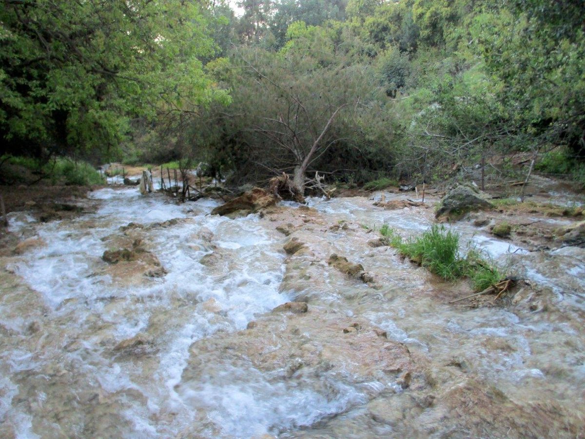 הצפון המרהיב וכמה מנחליו בגלריה מרהיבה