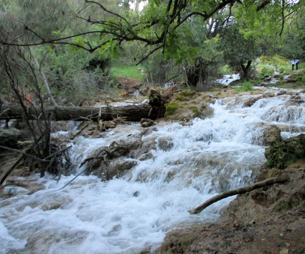 הצפון המרהיב וכמה מנחליו בגלריה מרהיבה