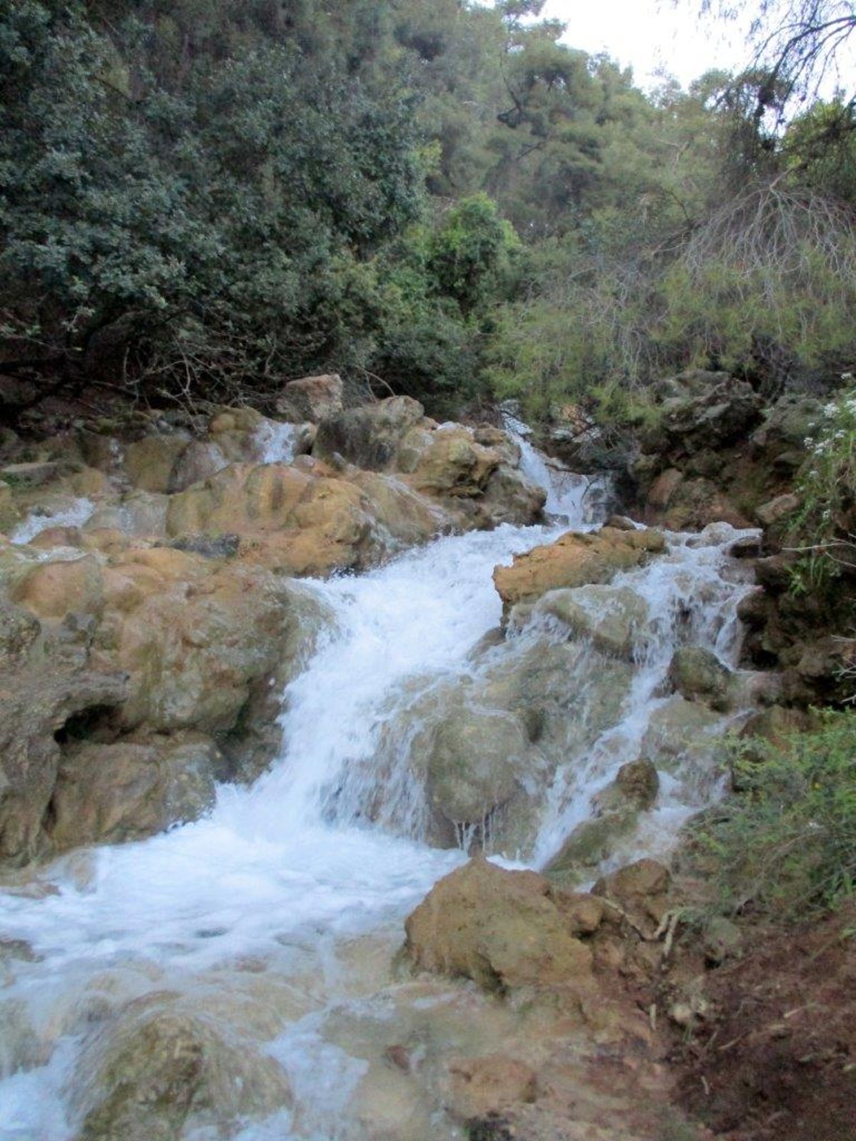 הצפון המרהיב וכמה מנחליו בגלריה מרהיבה