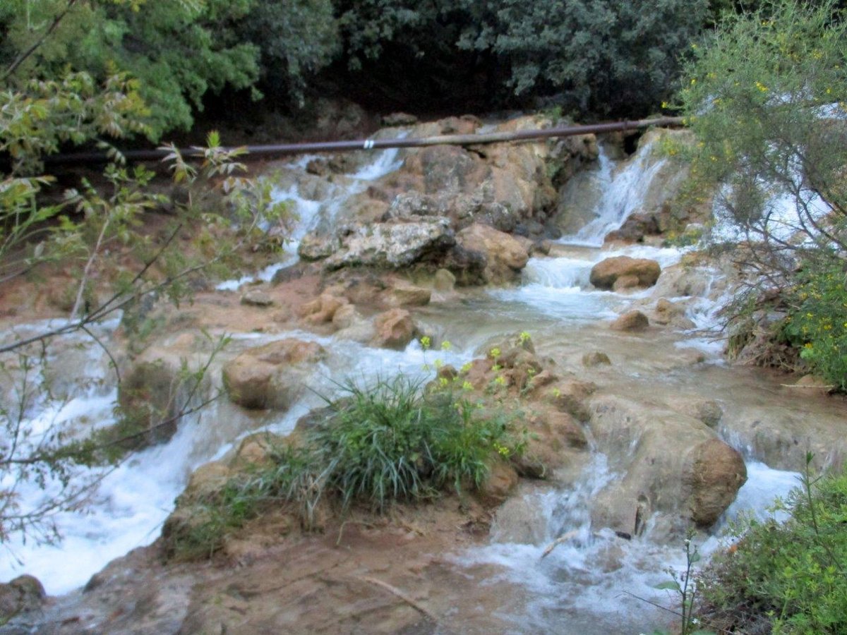 הצפון המרהיב וכמה מנחליו בגלריה מרהיבה