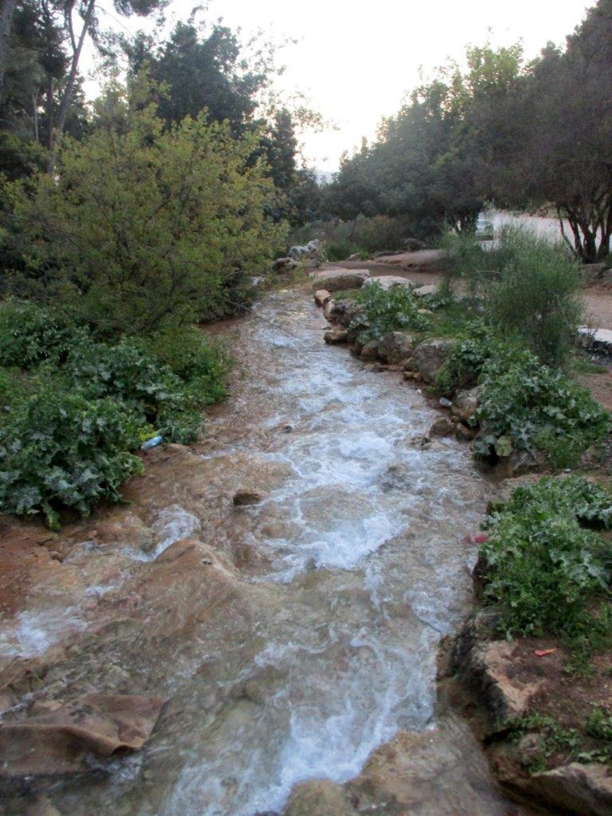 הצפון המרהיב וכמה מנחליו בגלריה מרהיבה