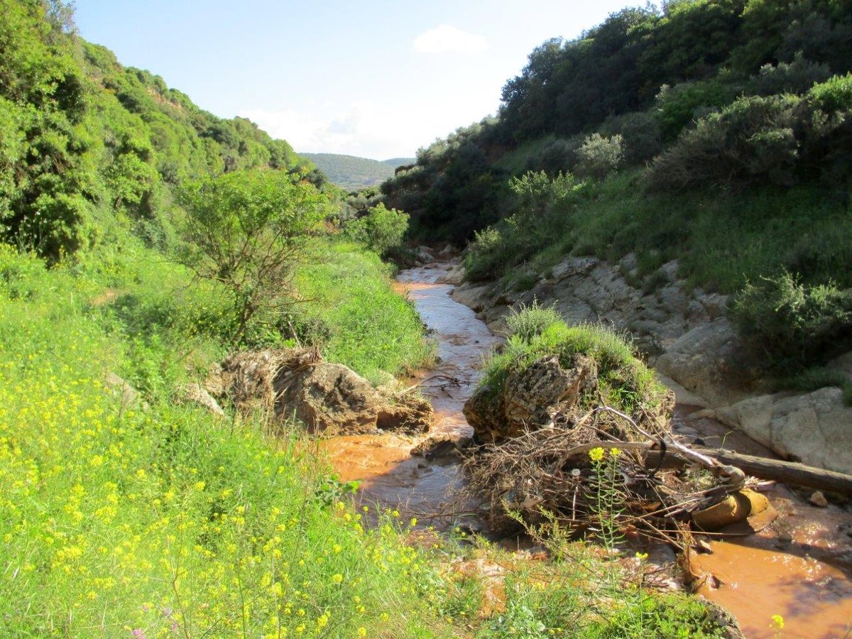 הצפון המרהיב וכמה מנחליו בגלריה מרהיבה