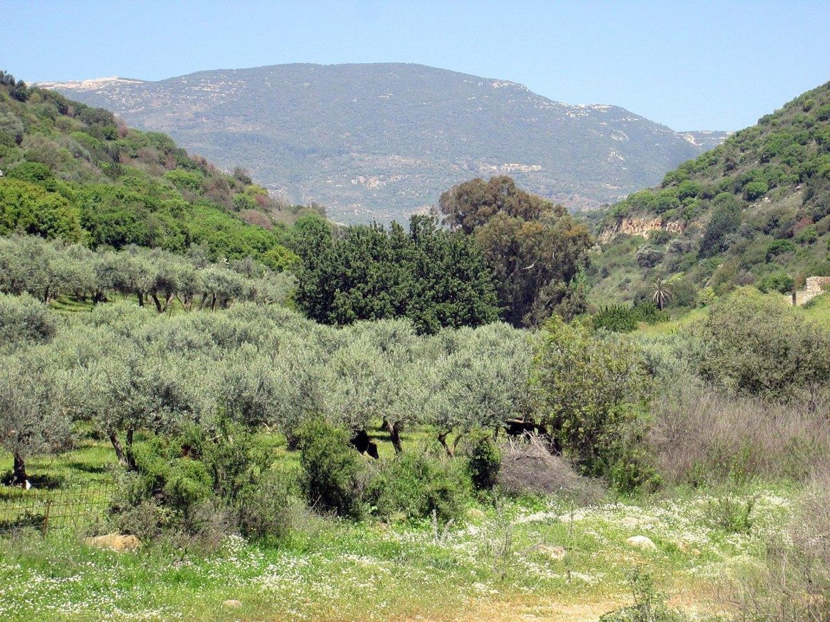 הצפון המרהיב וכמה מנחליו בגלריה מרהיבה