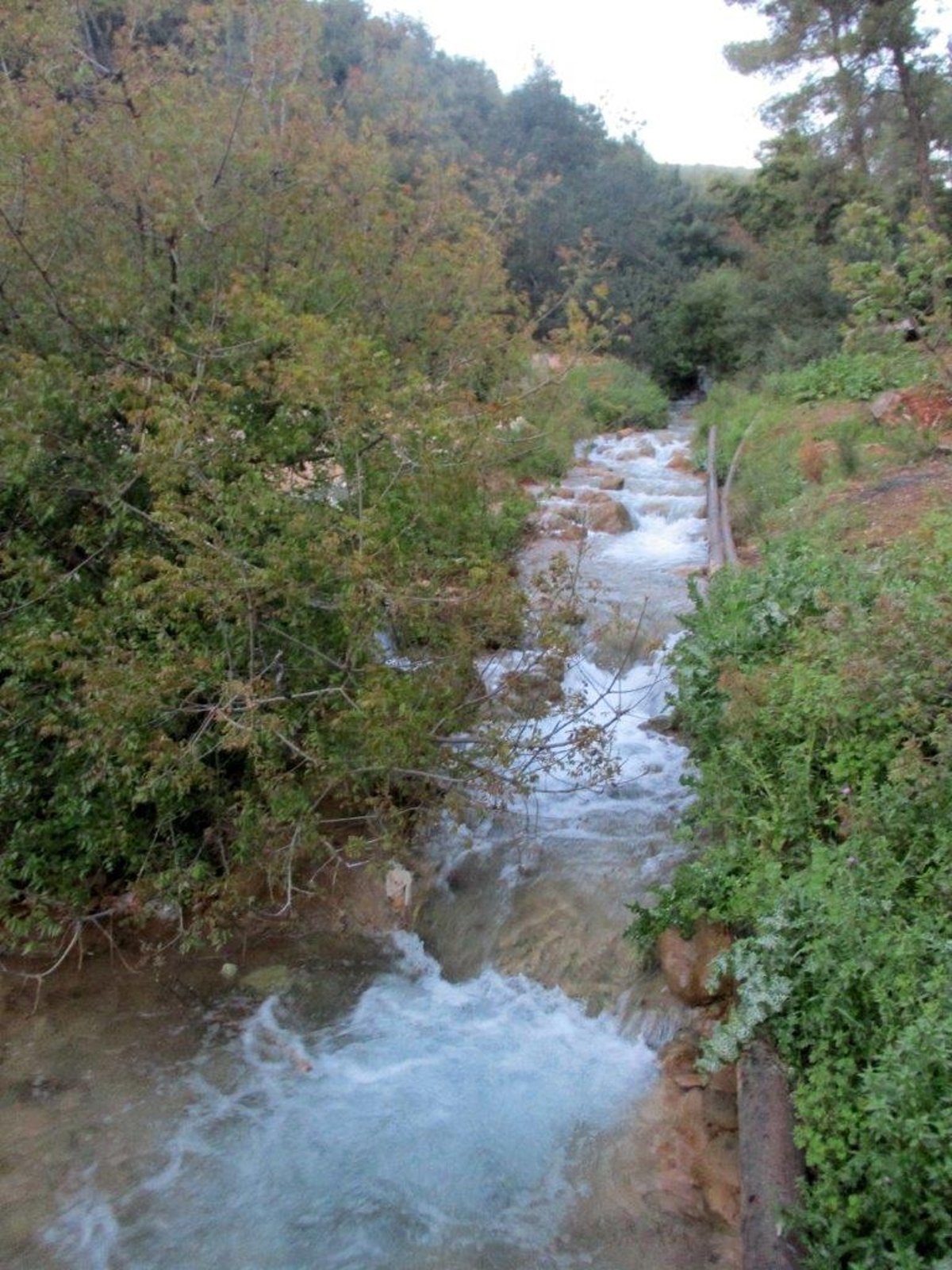 הצפון המרהיב וכמה מנחליו בגלריה מרהיבה