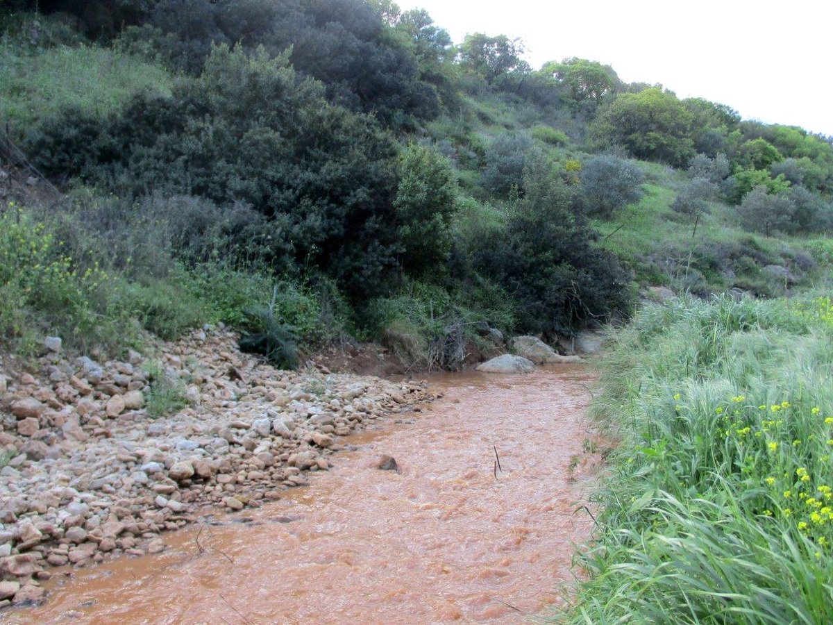 הצפון המרהיב וכמה מנחליו בגלריה מרהיבה