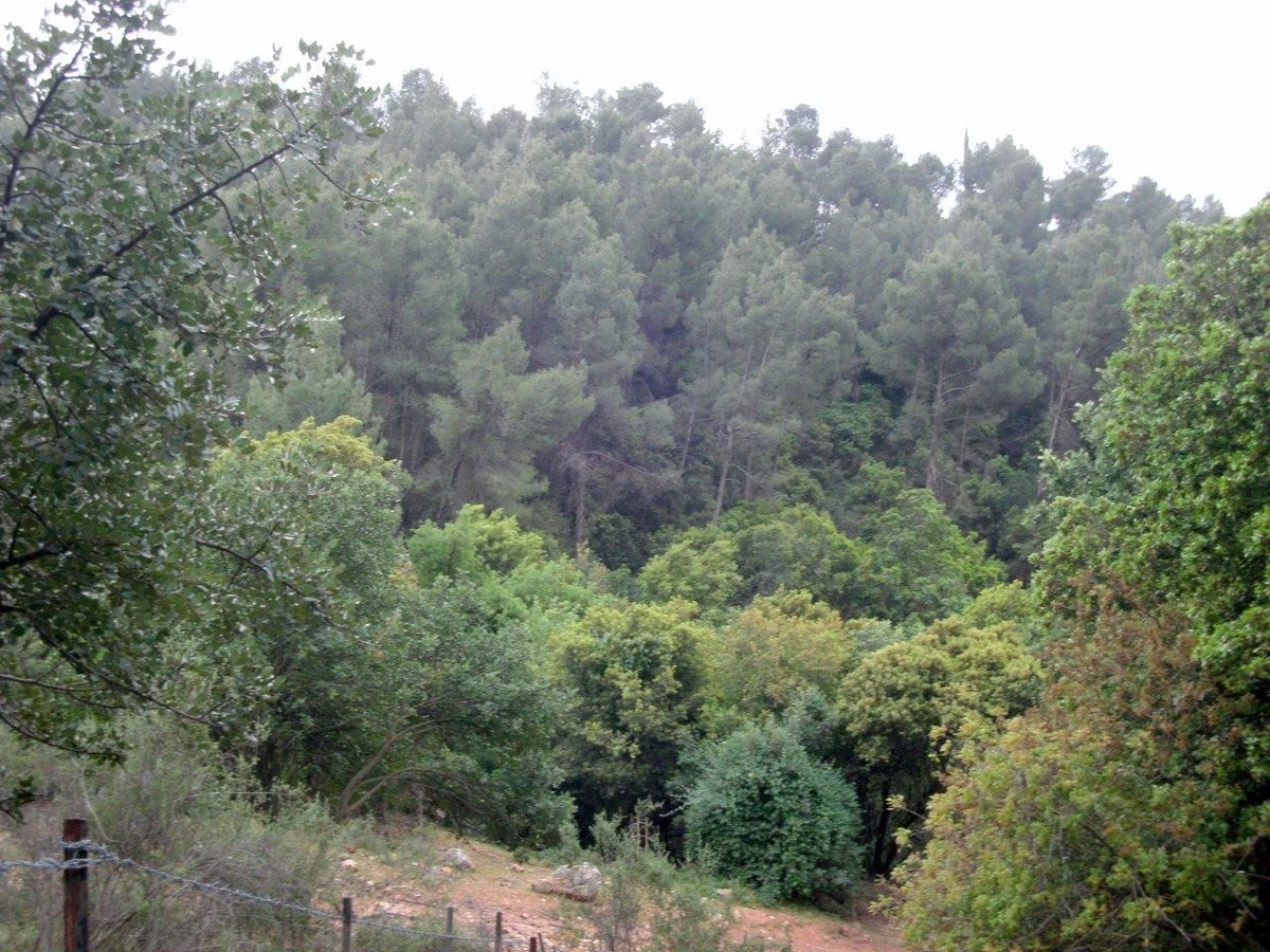 הצפון המרהיב וכמה מנחליו בגלריה מרהיבה