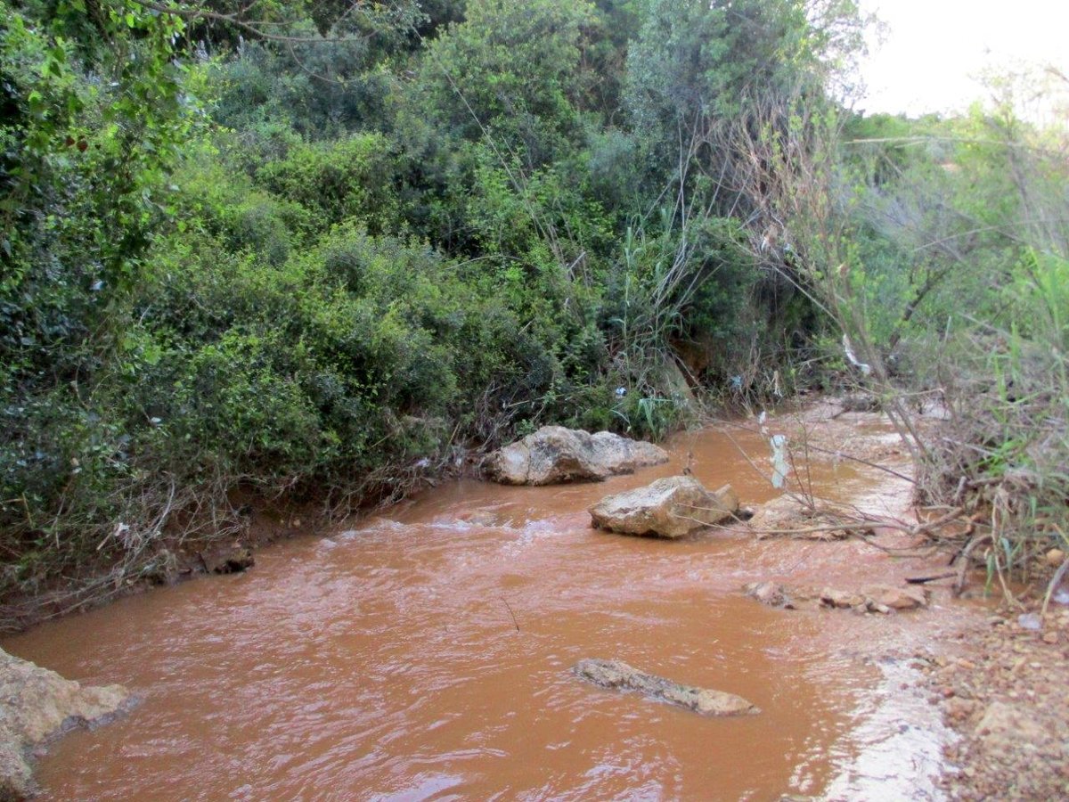 הצפון המרהיב וכמה מנחליו בגלריה מרהיבה