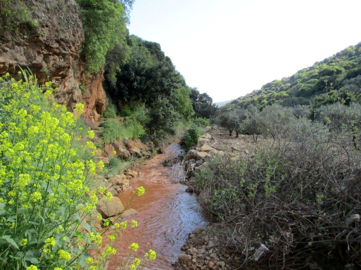 הצפון המרהיב וכמה מנחליו בגלריה מרהיבה