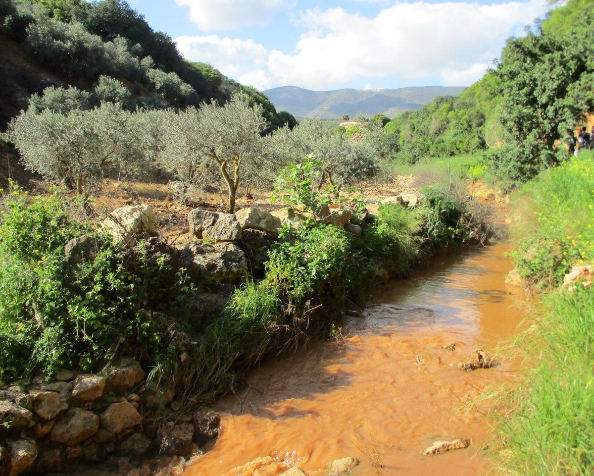 הצפון המרהיב וכמה מנחליו בגלריה מרהיבה