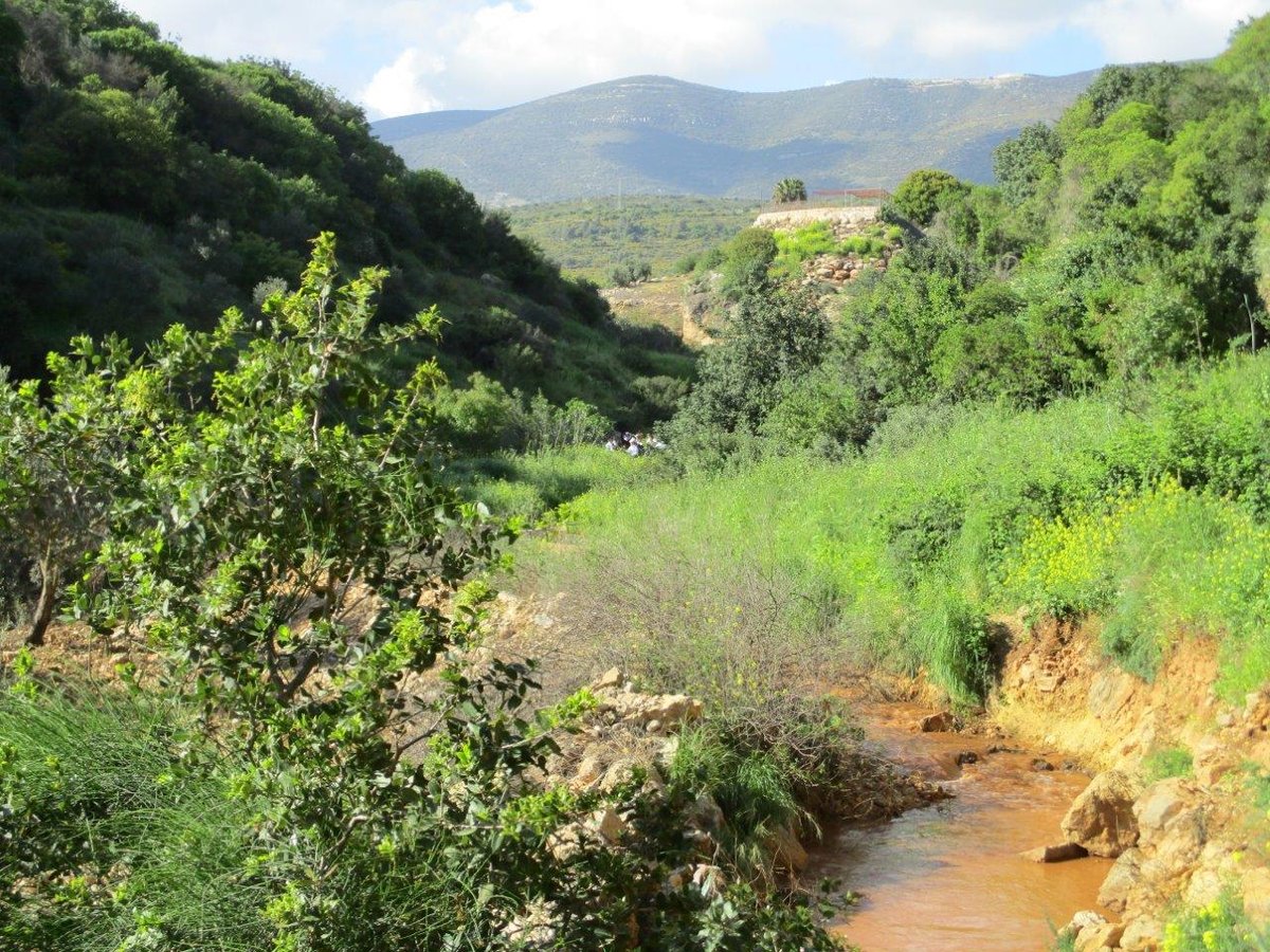 הצפון המרהיב וכמה מנחליו בגלריה מרהיבה