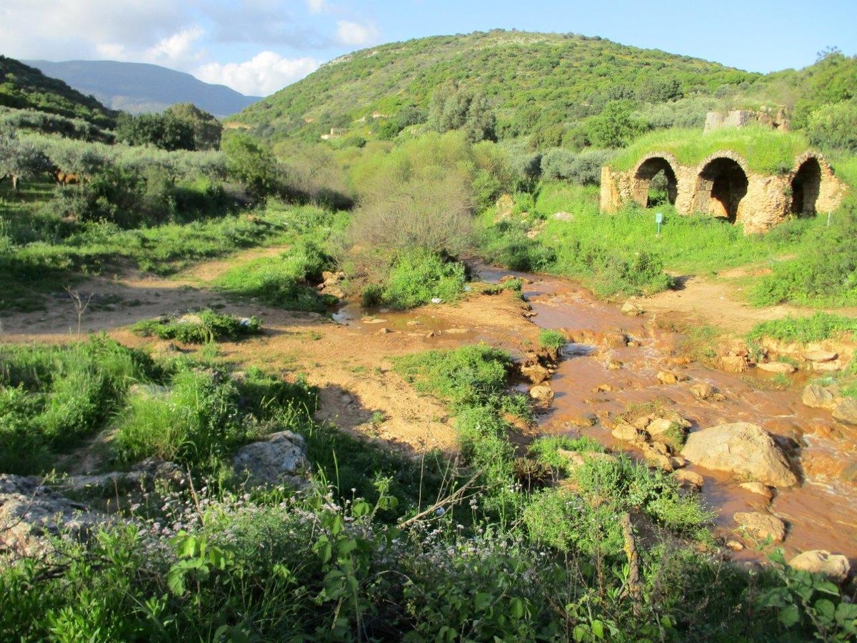 הצפון המרהיב וכמה מנחליו בגלריה מרהיבה