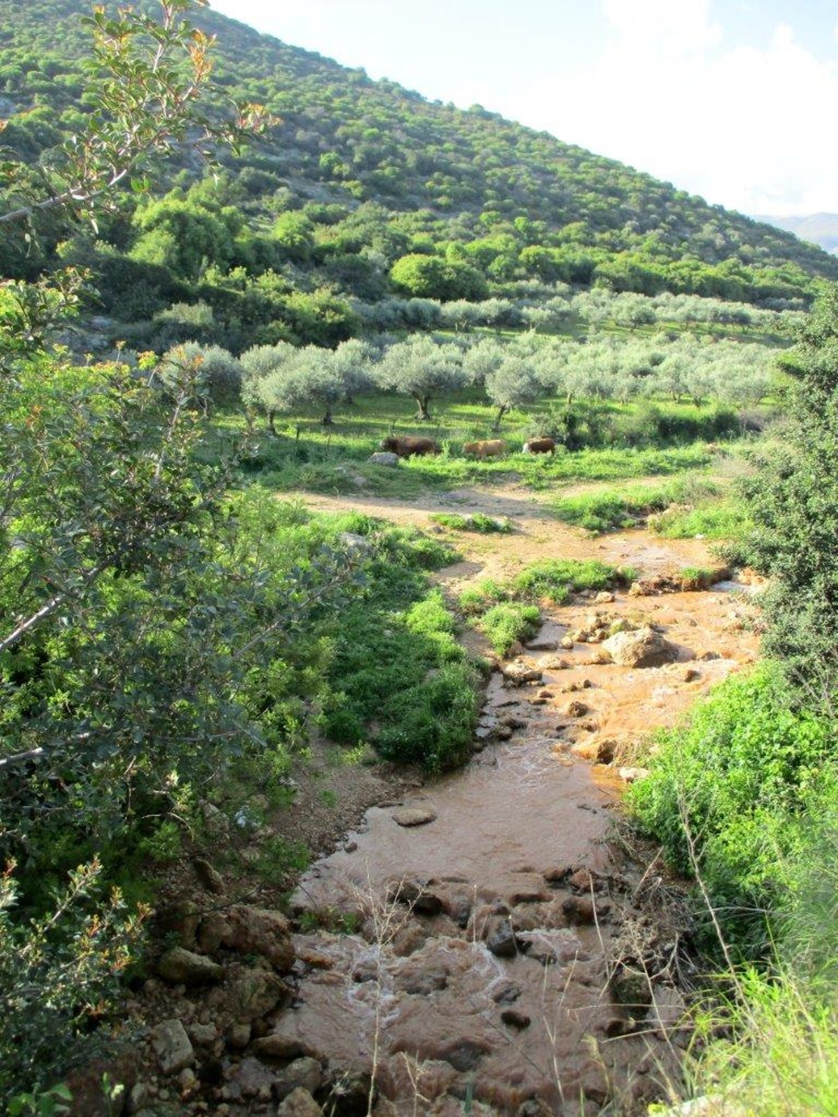 הצפון המרהיב וכמה מנחליו בגלריה מרהיבה