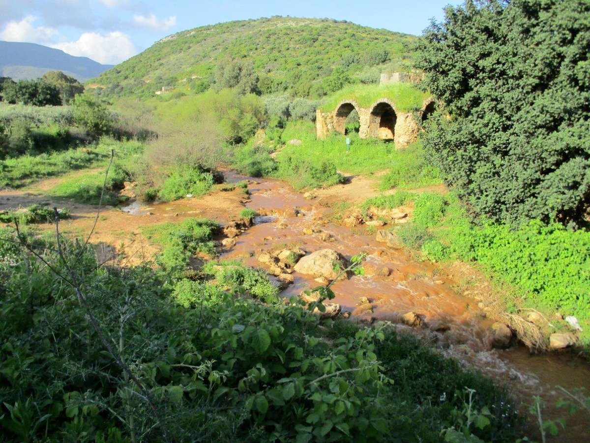 הצפון המרהיב וכמה מנחליו בגלריה מרהיבה