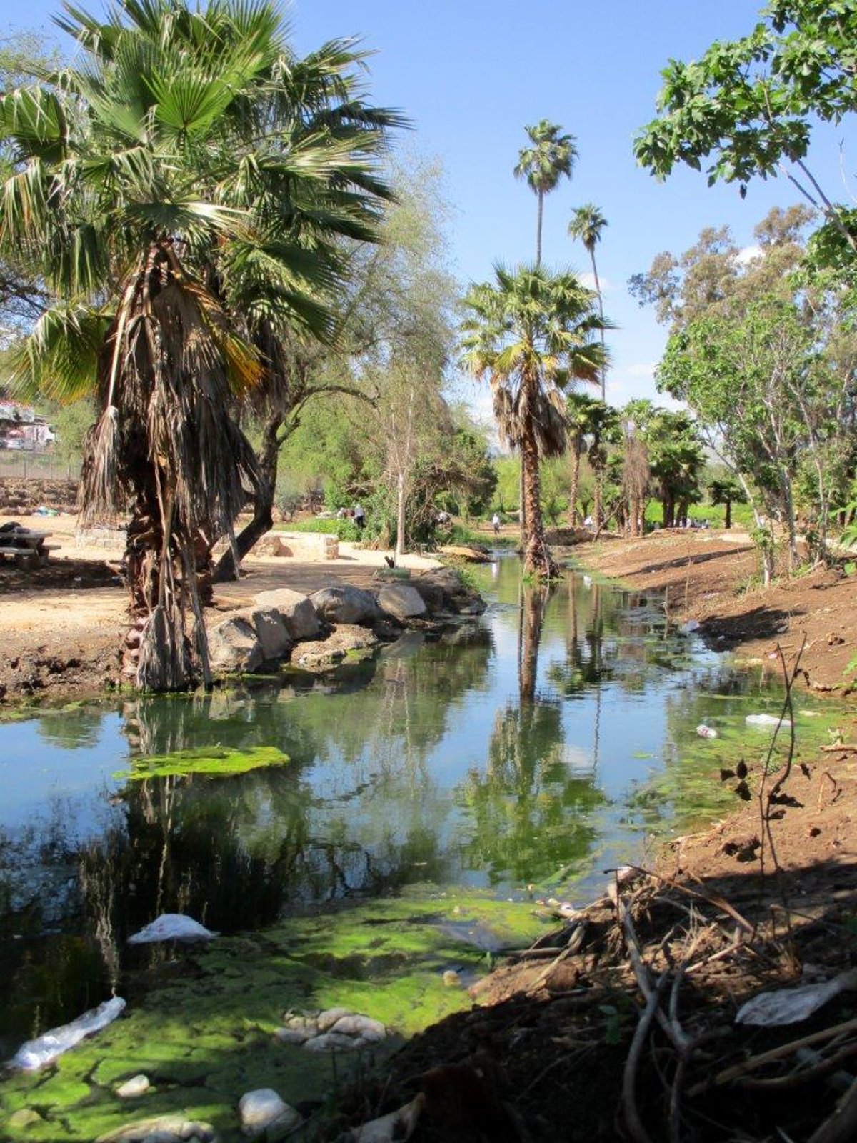 הצפון המרהיב וכמה מנחליו בגלריה מרהיבה