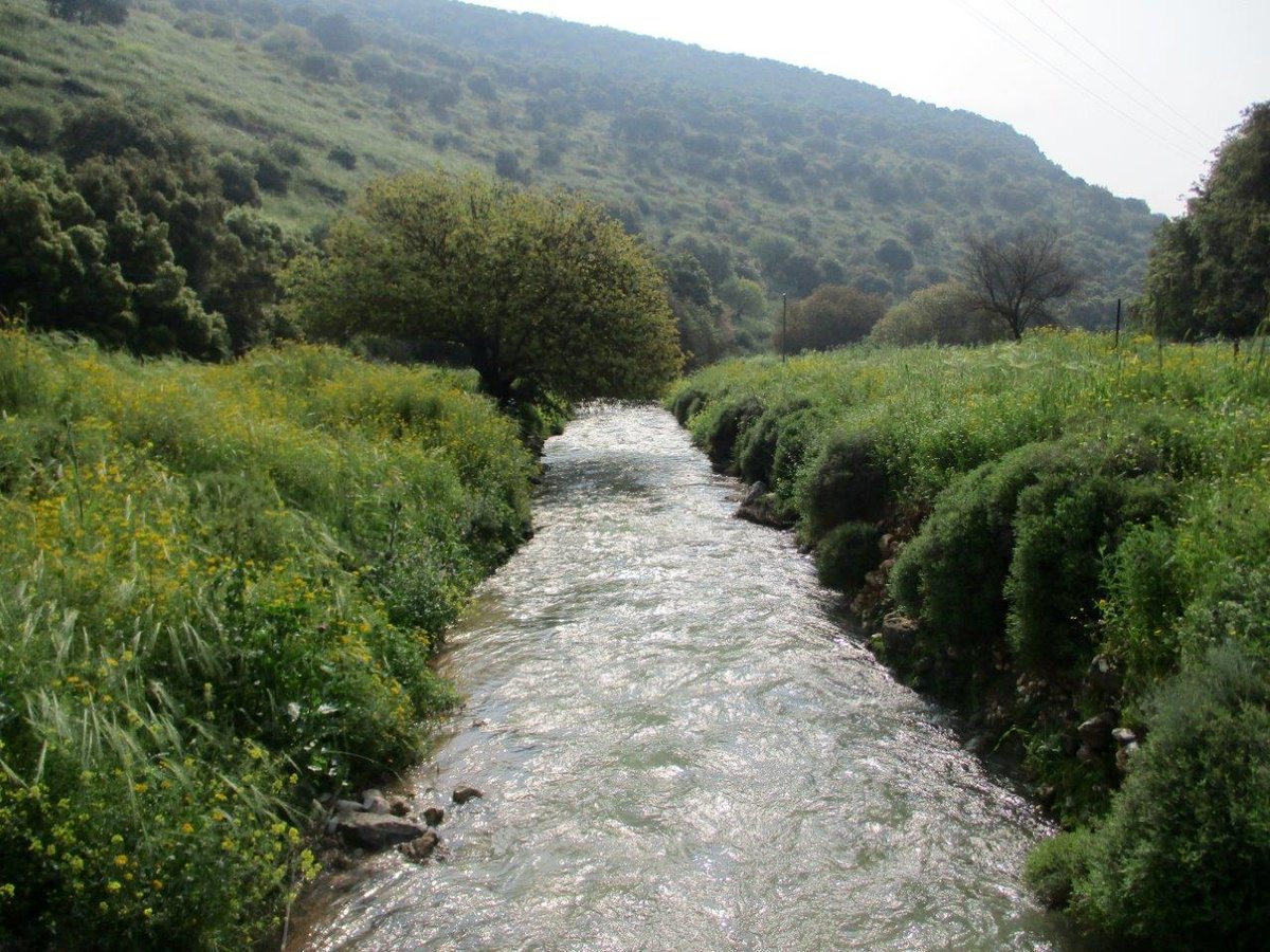 הצפון המרהיב וכמה מנחליו בגלריה מרהיבה