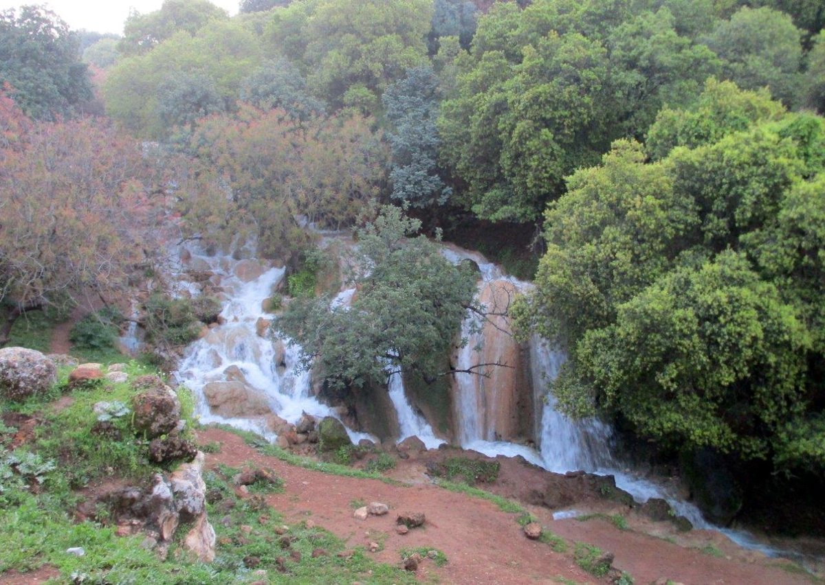 הצפון המרהיב וכמה מנחליו בגלריה מרהיבה