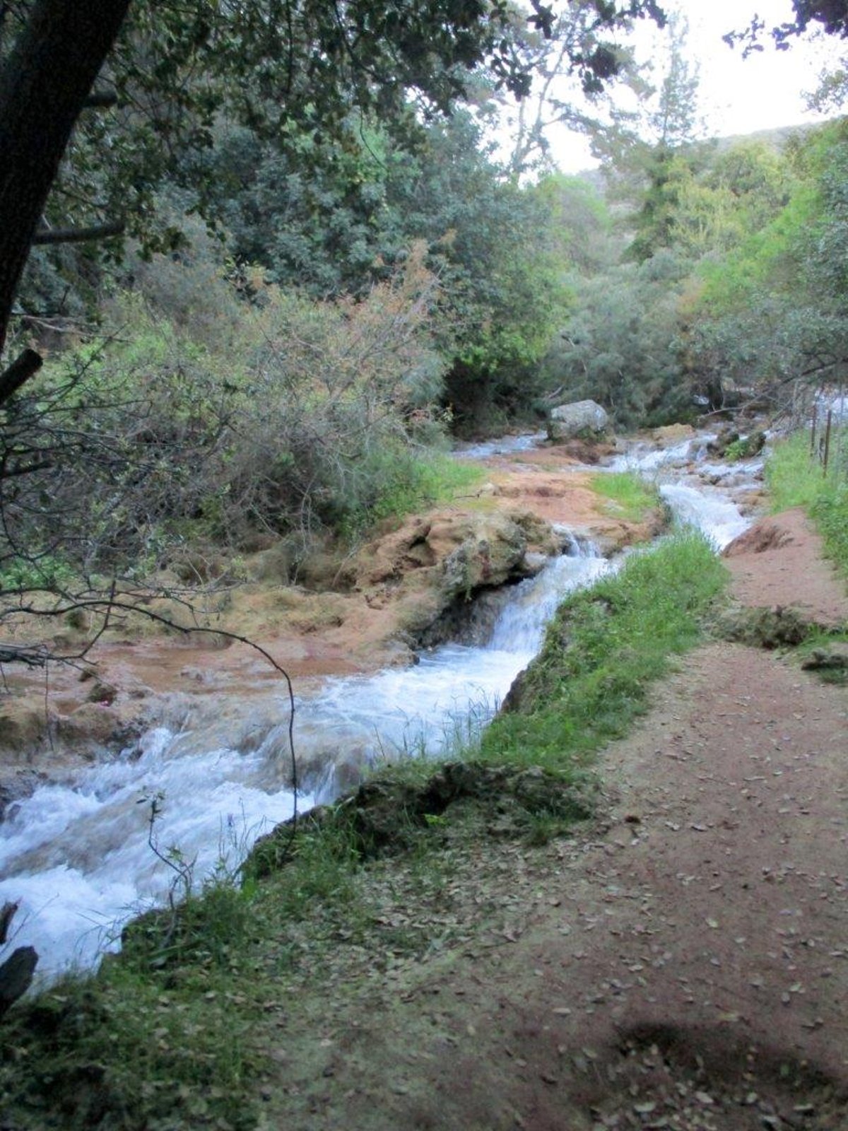 הצפון המרהיב וכמה מנחליו בגלריה מרהיבה