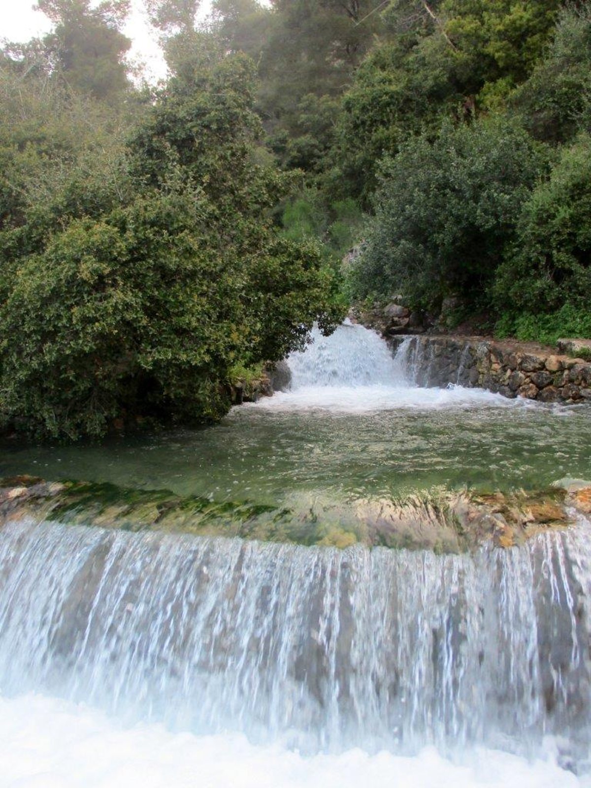 הצפון המרהיב וכמה מנחליו בגלריה מרהיבה