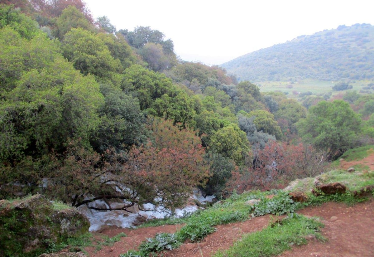 הצפון המרהיב וכמה מנחליו בגלריה מרהיבה