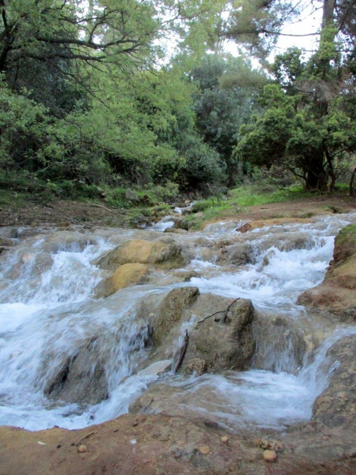 הצפון המרהיב וכמה מנחליו בגלריה מרהיבה