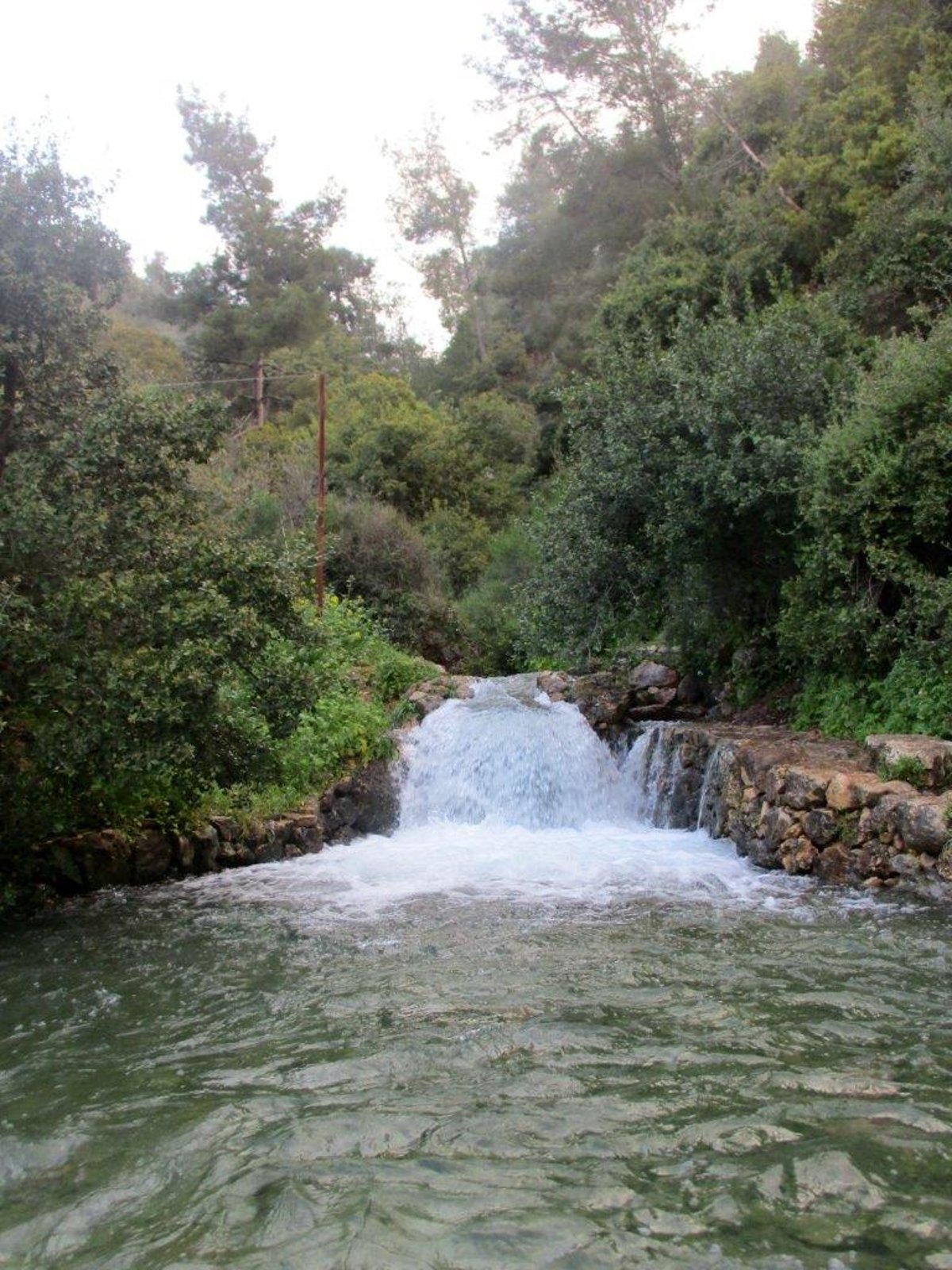 הצפון המרהיב וכמה מנחליו בגלריה מרהיבה