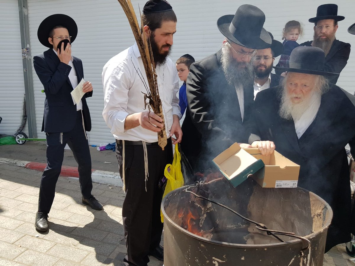 מרן הגר"ח קנייבסקי בשריפת חמץ, הבוקר